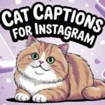 Cat Captions For Instagram