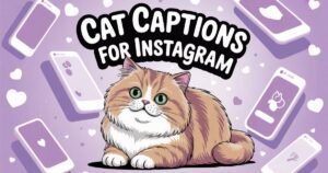 Cat Captions For Instagram